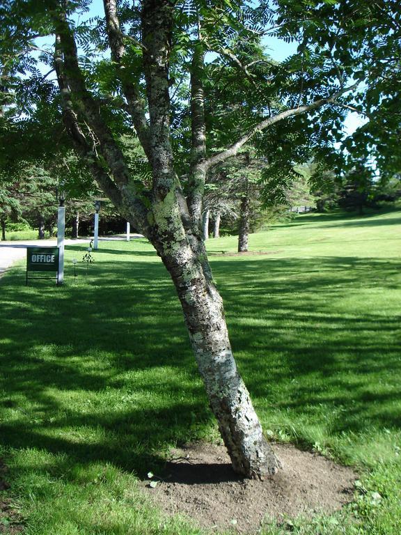 Ducktrap Motel 4*